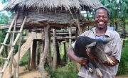 Joseph Kanyangalazi with one of his pigs, Malawi. Photo: Jennifer Nolan / Concern Worldwide.