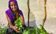 Sori in her kitchen garden in Kalacha, Marsabit. She is holding some of the vegetables she has been able to grow in her kitchen garden in the Chalbi desert. Photo: Jennifer Nolan / Concern Worldwide