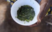 Nadine Doko demonstrates to her neighbours how to prepare a nutritious meal for their young children, by cooking a dish consisting of onions, squash leaves, peanut paste and oil. Photo: Darren Vaughan