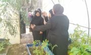 Women learn home garden skills as part of our local partner’s livelihoods training programme. Photo: Act for Peace/Jordan