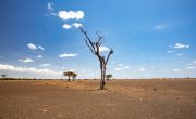 On the road in Laisamis sub county, Marsabit, Kenya. Photo: Ed Ram / Concern Worldwide