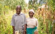 Oliver and her husband James stand among their corn, which is growing strong thanks to the tips and techniques they learned at Concern-led agricultural training sessions. Photo: Chris Gagnon