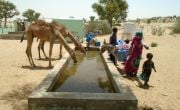 Sindh Drought Resilience Project (SDRP) in Pakistan. Photo: Concern Worldwide