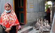 Nazma Begum started Swan farming with the livelihood support at Jatrapur, Kurigram and adding income to her family. Photo: Concern Worldwide