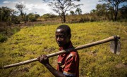 Seraphin Mukalay, 51, a beneficiary of Concern Worldwide’s Food for Peace program, is seen on his farmland close to the village of Kakyinga, Manono Territory.