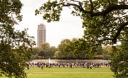 Royal Parks Half Marathon