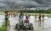 The waterlogged paddy fields, remnants of recent heavy rainfall, begin to recede in Sundarganj, Gaibandha. Before the fields are readied for rice planting, the community gathers to catch fish. Photo: Saikat Mojumder/Concern Worldwide.