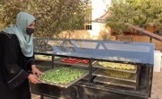 Solar dryer for food preservation in Afghanistan. Photo: Concern Worldwide. 