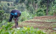Man farming in Rwanda