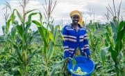 woman farming in Rwanda