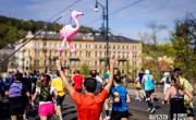 A participant in an orange t-shirt celebrates with his hands in the air as he runs the Prague Half Marathon. There is a pink flamingo balloon which is being held onto the course by a spectator. There are a number of runners on the course.