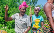 Backyard gardens in Talia, Nongowa Chiefdom, Kenema District. Photo: Kago Tshabota.