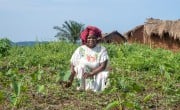 A women in a vegetable garden