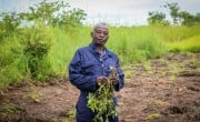 Mukalay (63) a father of seven and member of the Community Early Warning Committee (CEWC), works with his community to maintain a farmer field school where maize, groundnuts, and bananas are cultivated in Tchanga Tchanga, Kabalo Territory, Tanganyika. Photo: Concern Worldwide