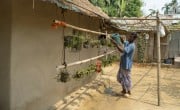 Sayed and his wife Farija are receivers of Concern’s training support on nutrition, home gardening and seeds production for better nutritious life and livelihood in Cox's Bazar. Photo: Saikat Mojumder/Concern Worldwide.