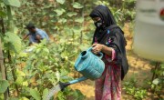 Sayed and his wife Farija are receivers of Concern’s training support on nutrition, home gardening and seeds production for better nutritious life and livelihood in Cox's Bazar. Photo: Saikat Mojumder/Concern Worldwide.