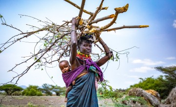 Atiir collects firewood every day to make money to feed her family. Recurrent drought in Turkana, Kenya has made it her only means of survival. Photo: Gavin Douglas / Concern Worldwide.