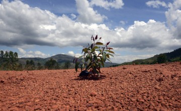 Soil erosion in Burundi. Photo: Chris de Bode/Panos Pictures / Concern Worldwide.