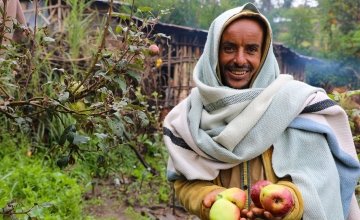 Ahimed Ali Mahamed now has apple trees - and the skills to tend to them thanks for Concern supported programme. Photo: Jennifer Nolan / Concern Worldwide