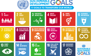 The 17 Sustainable Development Goals, credit: UN