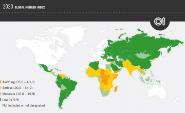 2020 Global Hunger Index Information