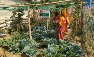 Ayesha started to earn income from her garden in Cox's Bazar, Bangladesh. Photo: Taslim Anwar
