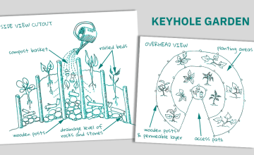 A keyhole garden