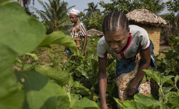 A family grows their own vegetables in a home garden