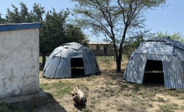 These new 'maternity waiting shelters' at the Illeret Health Centre are similar to the nomadic homes that local Dashamite families live in, and make visiting mums feel more at home. Photo: Jennifer Nolan
