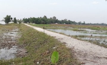 750 feet repaired embankment/road, Dhubni, Hatibandha. Photo: Md. Ohidul Islam, Field Coordinator/ Concern Worldwide