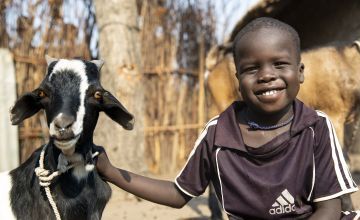Four-year-old Chiny with one of the family goats. His family live on a refugee camp in Ethiopia and use manure from the livestock to fertilise their small kitchen garden. The vegetables harvested help to ensure that Chiny’s family have access to nutritious food. Photo: Kieran McConville