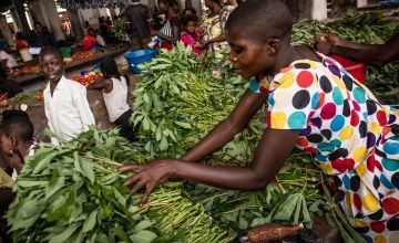 Ruth Ngoyi, 25, and her vegetables for sale at the central market of the town of Manono, Tanganyika Province, DRC.