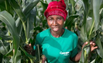 Female Malawian farmer in a maize field