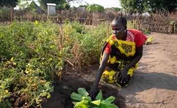 Woman in Ethiopia planting a garden