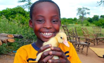 Nhkonde, eight, shows off one of his newly hatched ducklings in Malawi. Photo: Jason Kennedy