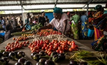 Francoise Kakuji selling her vegetables at the central market of the town of Manono, Tanganyika Province, Democratic Republic of Congo.
