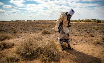 Kenyan man examining plants eaten by locusts