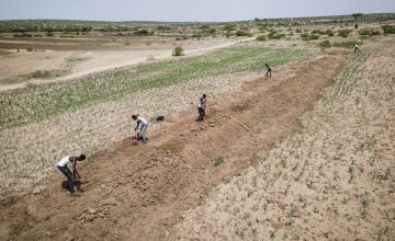 Men in Somalia's dry fields.