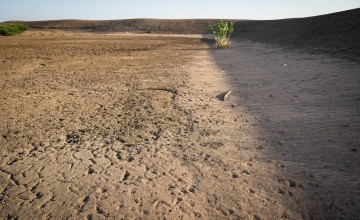 Rethodhaley water pan sits empty after consecutive failed rains in Tana River County, Kenya. Photo: Lisa Murray/Concern Worldwide