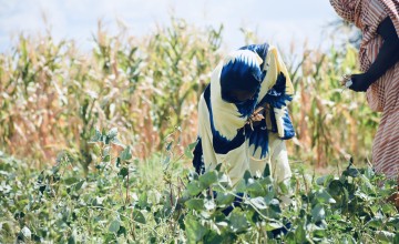 Female farmers in Kenya's Tana River County