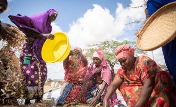 A group of farmers winnow mung beans in Makere village in Tana River County. From left to right: Hadija Hassan (L in purple) and Jazaka Salimu (R in red). Photo: Lisa Murray/Concern Worldwide
