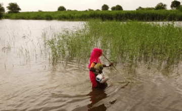 A woman carries a handful of belongings as she wades across flooded land