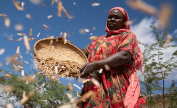 A woman winnows seeds in her garden