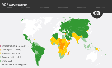 2022 Global Hunger Index Map