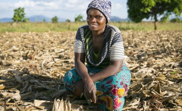 Malawian farmer with her field, prepared using a Climate Smart Agriculture technique