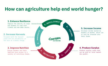 How Can Agriculture Help Solve World Hunger? | Concern Worldwide