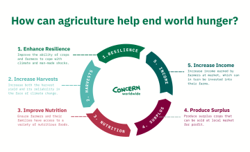 Infographic on how agriculture can help end hunger through a cycle of five steps