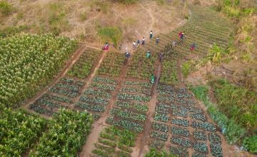 This Samu village scheme is using climate smart agricultural practices to mitigate the effects of climate change in the region, Mwanza District. Photo: Chris Gagnon