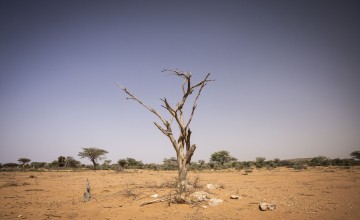 The road between Hargesia and Qaloocato in Somalia. Photo: Ed Ram/Concern Worldwide