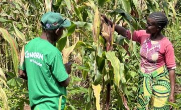 Feza Fatuma Amisi surveys her crops with member of Concern team